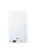 Газовий котел Vitopend 100-W WH1D 24